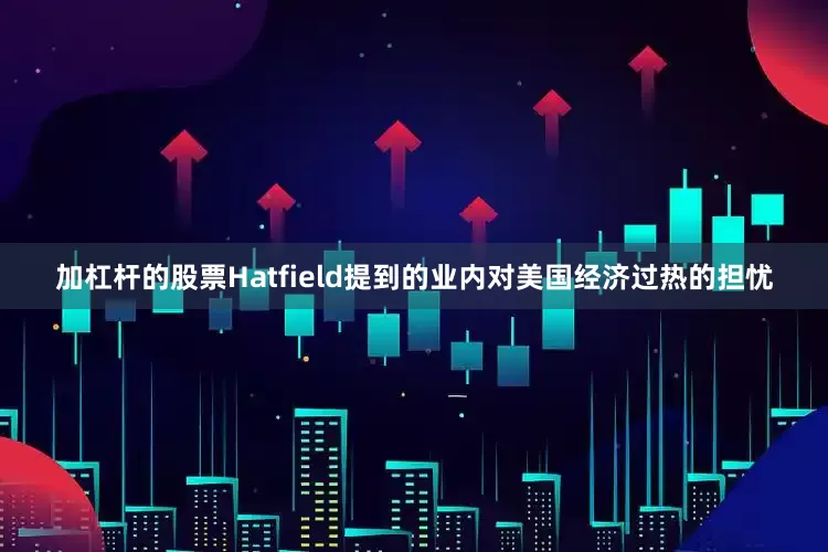 加杠杆的股票　　Hatfield提到的业内对美国经济过热的担忧